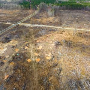 Photo #7 of SOLD property in Off Hughes Mill Road, Lot 3, Burlington, NC 6.0 acres