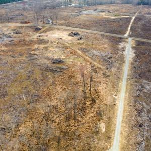 Photo #14 of Off Hughes Mill Road, Lot 3, Burlington, NC 6.0 acres