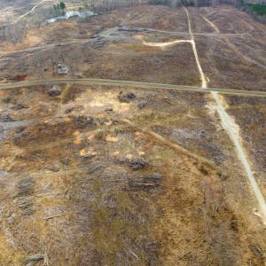 Photo #15 of Off Hughes Mill Road, Lot 3, Burlington, NC 6.0 acres