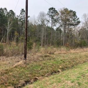 Photo #22 of SOLD property in Off Kelly Rd.  , Bath, NC 15.0 acres