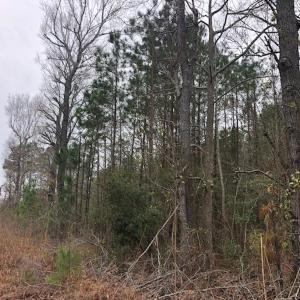 Photo #18 of SOLD property in Off Kelly Rd.  , Bath, NC 15.0 acres