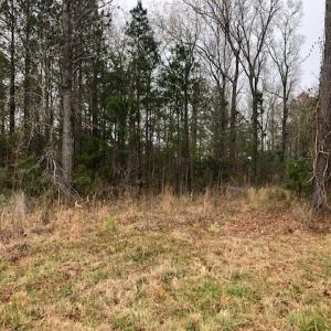 Photo #21 of SOLD property in Off Kelly Rd.  , Bath, NC 15.0 acres