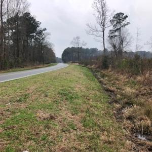 Photo #10 of SOLD property in Off Kelly Rd.  , Bath, NC 15.5 acres