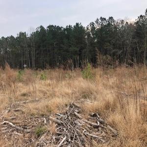 Photo #6 of SOLD property in Off Kelly Rd.  , Bath, NC 15.5 acres