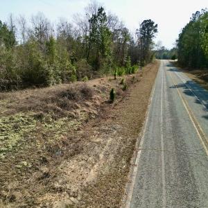 Photo #14 of Off Mcoy Loop Road , Ivanhoe, NC 9.7 acres