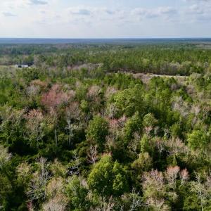 Photo #7 of Off Mcoy Loop Road , Ivanhoe, NC 9.7 acres