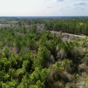 Photo #8 of Off Mcoy Loop Road , Ivanhoe, NC 9.7 acres