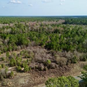 Photo #9 of Off Mcoy Loop Road , Ivanhoe, NC 9.7 acres