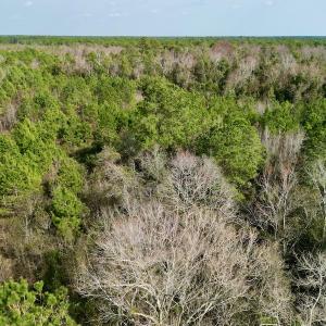 Photo #10 of Off Mcoy Loop Road , Ivanhoe, NC 9.7 acres