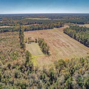 Photo #9 of SOLD property in Off Jimsie Hester Road , Whiteville , NC 26.4 acres