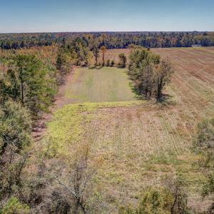 Photo #10 of Off Jimsie Hester Road , Whiteville , NC 26.4 acres