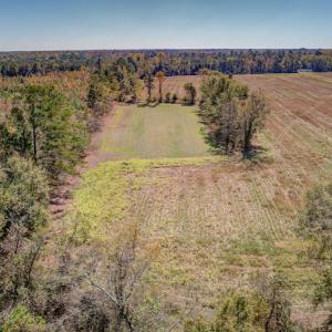 Photo #10 of SOLD property in Off Jimsie Hester Road , Whiteville , NC 26.4 acres