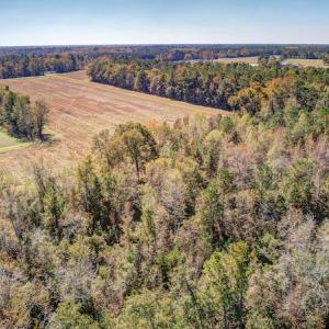 Photo #11 of SOLD property in Off Jimsie Hester Road , Whiteville , NC 26.4 acres