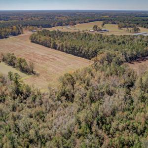 Photo #12 of SOLD property in Off Jimsie Hester Road , Whiteville , NC 26.4 acres