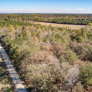 Photo #14 of Off Jimsie Hester Road , Whiteville , NC 26.4 acres