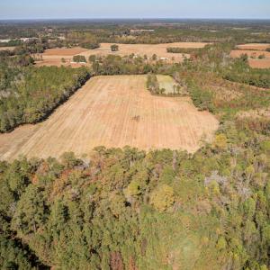 Photo #15 of SOLD property in Off Jimsie Hester Road , Whiteville , NC 26.4 acres