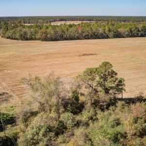Photo #16 of SOLD property in Off Jimsie Hester Road , Whiteville , NC 26.4 acres