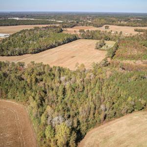 Photo #17 of SOLD property in Off Jimsie Hester Road , Whiteville , NC 26.4 acres