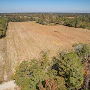 Photo #18 of SOLD property in Off Jimsie Hester Road , Whiteville , NC 26.4 acres