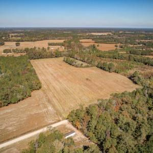 Photo #19 of SOLD property in Off Jimsie Hester Road , Whiteville , NC 26.4 acres