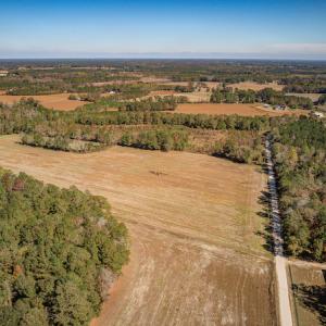 Photo #21 of SOLD property in Off Jimsie Hester Road , Whiteville , NC 26.4 acres