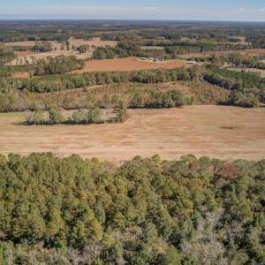 Photo #22 of SOLD property in Off Jimsie Hester Road , Whiteville , NC 26.4 acres