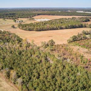 Photo #23 of SOLD property in Off Jimsie Hester Road , Whiteville , NC 26.4 acres