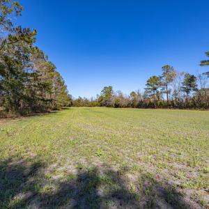 Photo #24 of Off Jimsie Hester Road , Whiteville , NC 26.4 acres