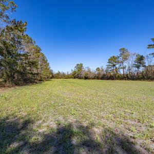 Photo #24 of SOLD property in Off Jimsie Hester Road , Whiteville , NC 26.4 acres