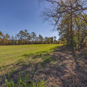 Photo #25 of SOLD property in Off Jimsie Hester Road , Whiteville , NC 26.4 acres