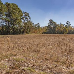 Photo #26 of SOLD property in Off Jimsie Hester Road , Whiteville , NC 26.4 acres