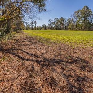 Photo #28 of Off Jimsie Hester Road , Whiteville , NC 26.4 acres