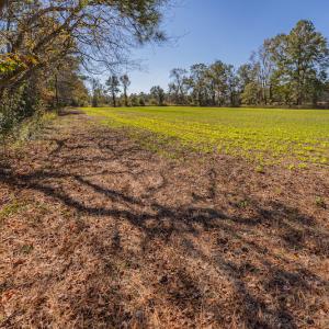 Photo #28 of SOLD property in Off Jimsie Hester Road , Whiteville , NC 26.4 acres