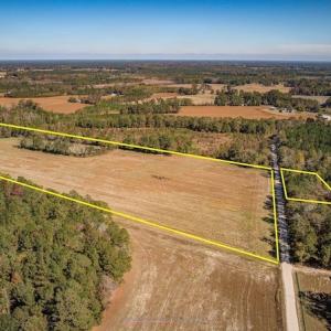 Photo #3 of SOLD property in Off Jimsie Hester Road , Whiteville , NC 26.4 acres