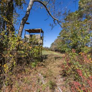 Photo #30 of Off Jimsie Hester Road , Whiteville , NC 26.4 acres