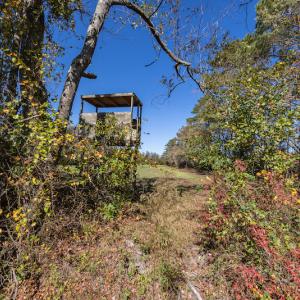 Photo #30 of SOLD property in Off Jimsie Hester Road , Whiteville , NC 26.4 acres