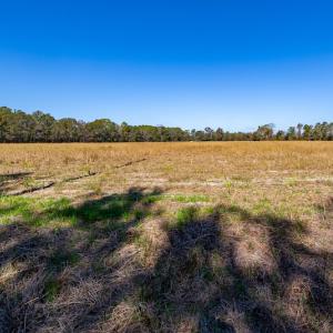 Photo #31 of SOLD property in Off Jimsie Hester Road , Whiteville , NC 26.4 acres