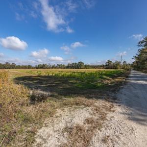 Photo #35 of SOLD property in Off Jimsie Hester Road , Whiteville , NC 26.4 acres