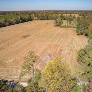 Photo #5 of Off Jimsie Hester Road , Whiteville , NC 26.4 acres