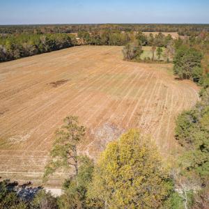 Photo #5 of SOLD property in Off Jimsie Hester Road , Whiteville , NC 26.4 acres