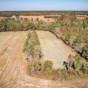 Photo #6 of SOLD property in Off Jimsie Hester Road , Whiteville , NC 26.4 acres