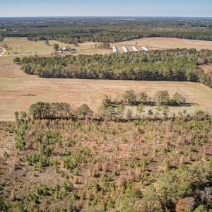 Photo #7 of SOLD property in Off Jimsie Hester Road , Whiteville , NC 26.4 acres