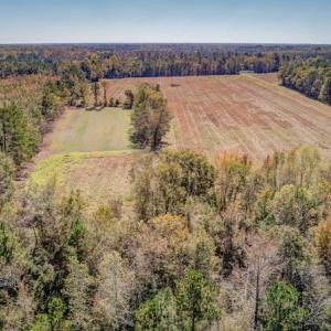 Photo #8 of SOLD property in Off Jimsie Hester Road , Whiteville , NC 26.4 acres