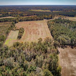 Photo #2 of Off Jimsie Hester Road , Whiteville , NC 26.4 acres