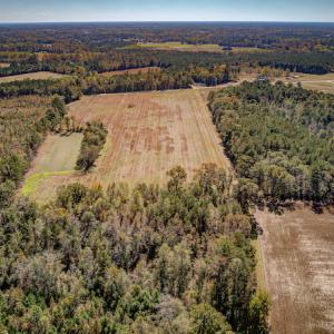 Photo #2 of SOLD property in Off Jimsie Hester Road , Whiteville , NC 26.4 acres