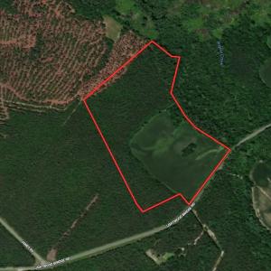 Photo #1 of SOLD property in Off Lightwood Bridge Road, Wallace, NC 64.3 acres
