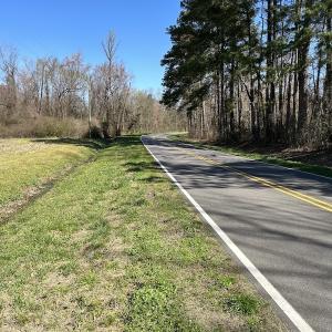 Photo #5 of SOLD property in Off Lightwood Bridge Road, Wallace, NC 64.3 acres