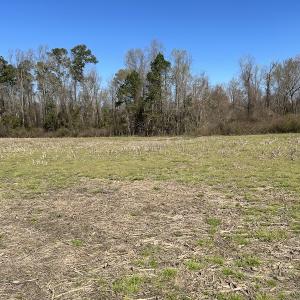 Photo #8 of SOLD property in Off Lightwood Bridge Road, Wallace, NC 64.3 acres