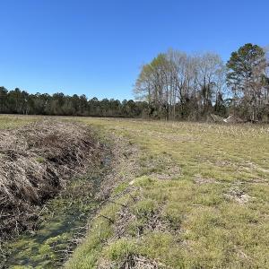 Photo #9 of SOLD property in Off Lightwood Bridge Road, Wallace, NC 64.3 acres