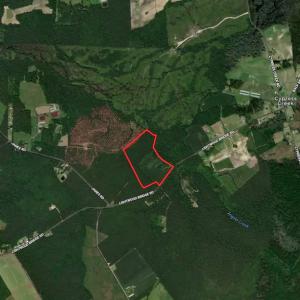 Photo #32 of SOLD property in Off Lightwood Bridge Road, Wallace, NC 64.3 acres